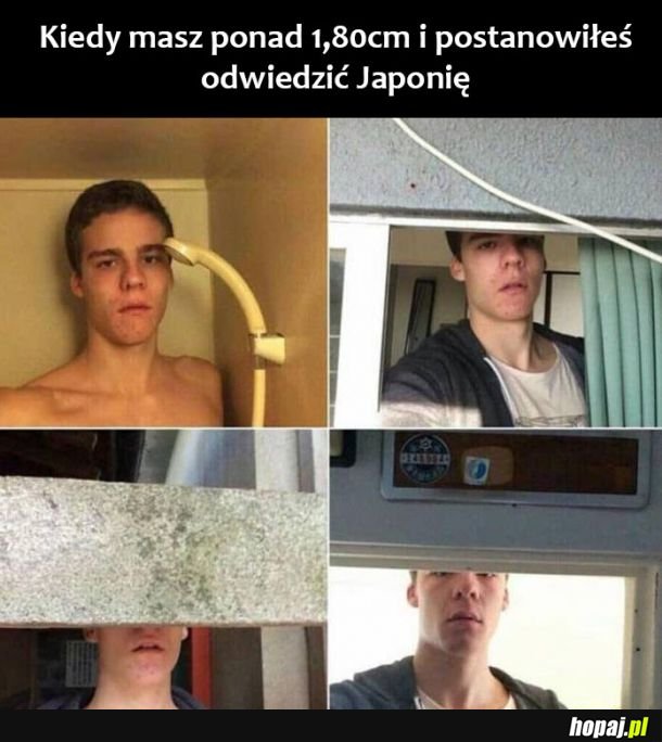 Zwiedzanie Japonii 