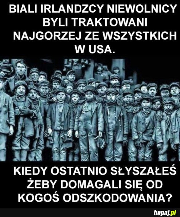 IRLANDCZYCY