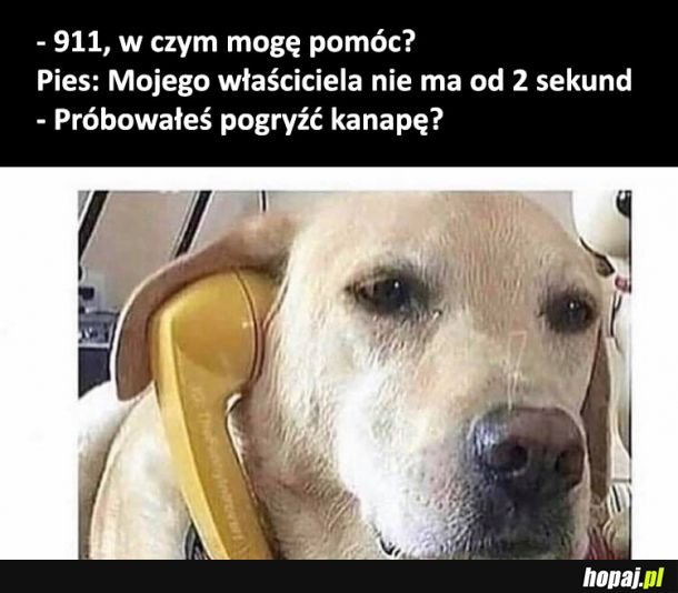 Pogotowie