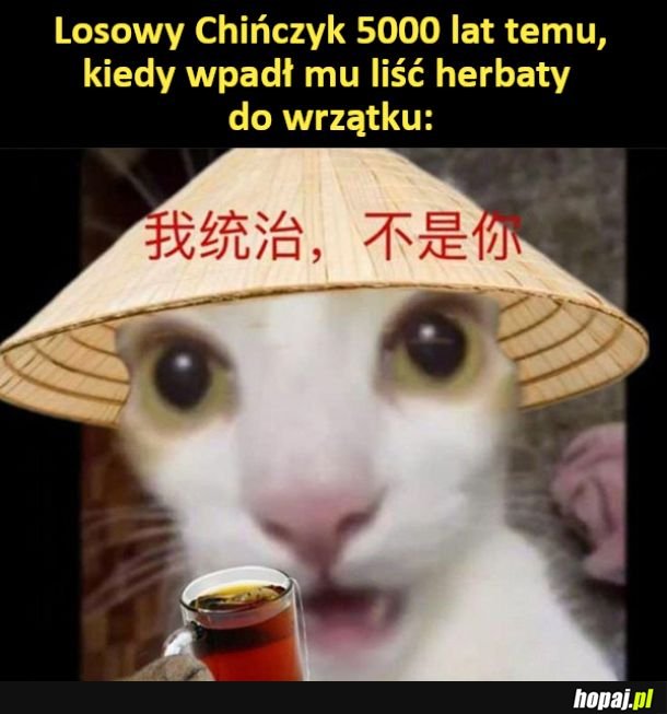 Herbata :O