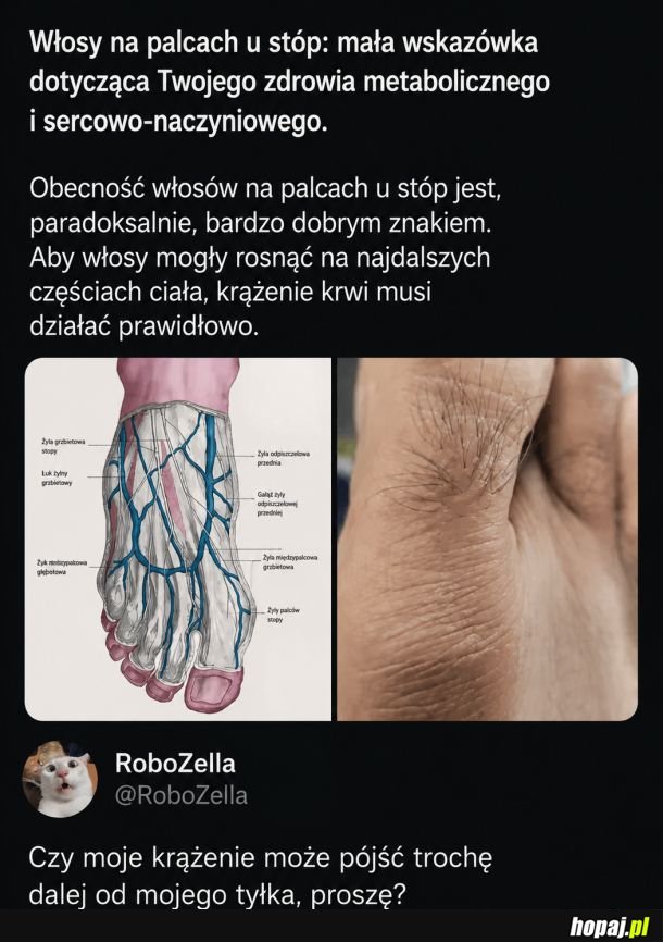 Krążenie