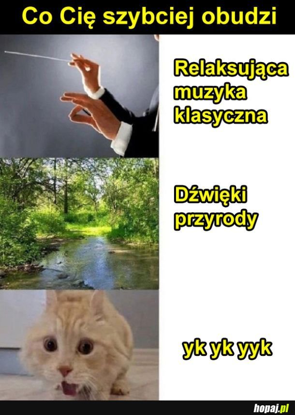 Pobudka