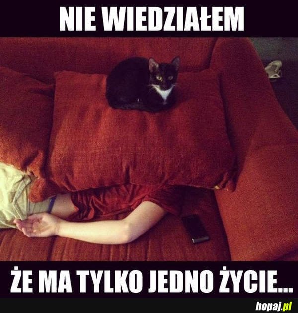 Jedno życie