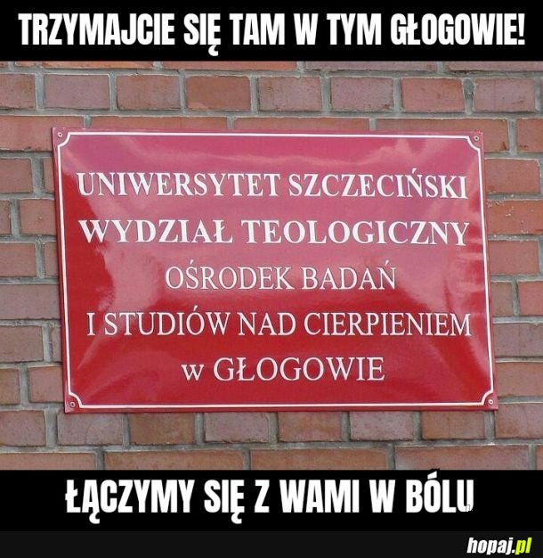 Tymczasem w Głogowie...