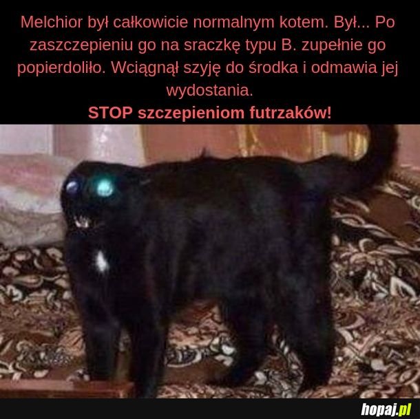 Biedny Melchior