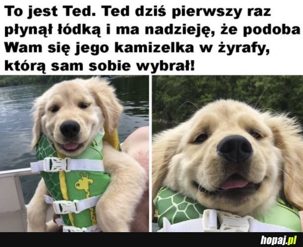 Zuch pieseł