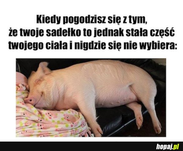 KIEDY SIĘ POGODZISZ