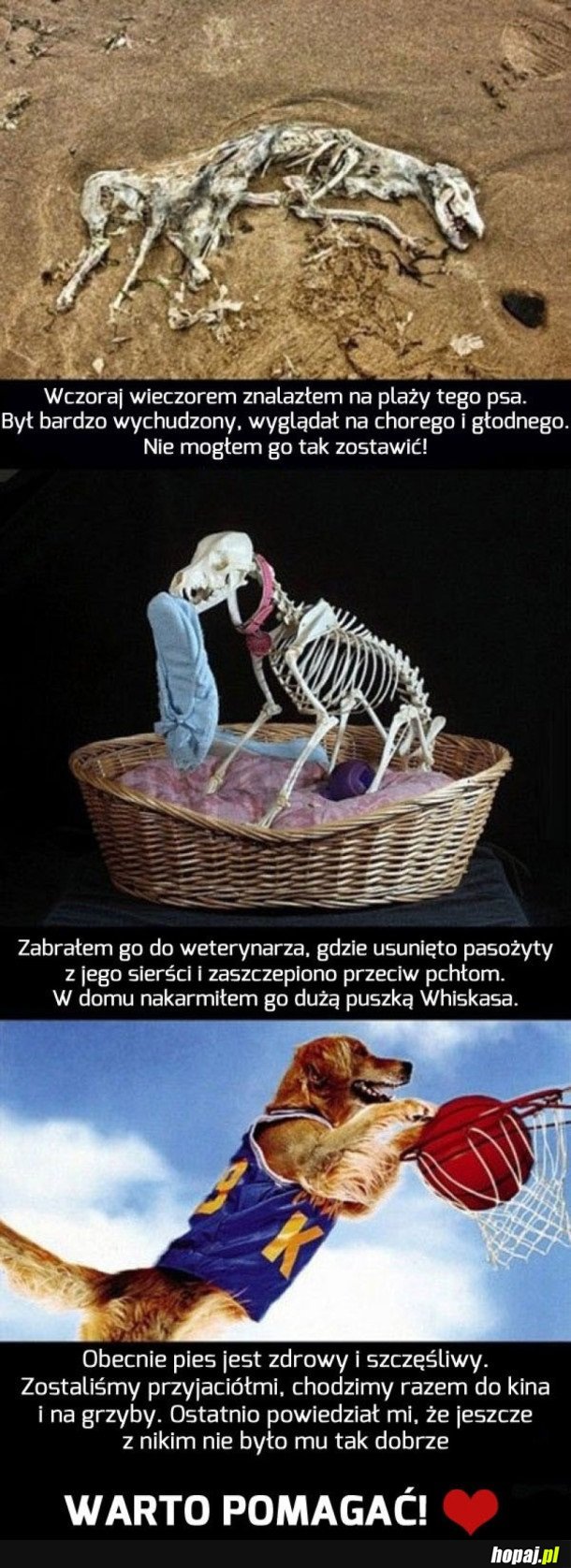 TAK BYŁO