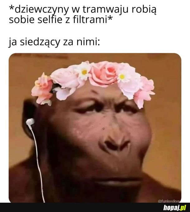Monke