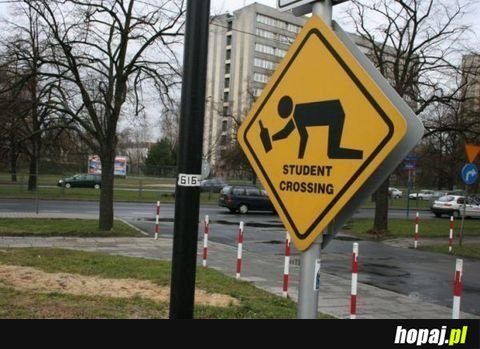 Student crossing