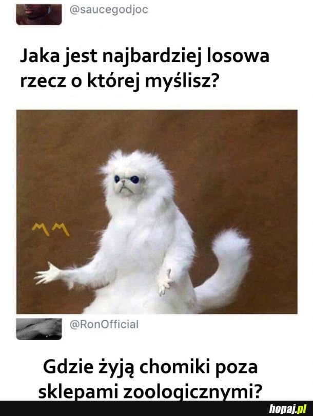 Losowa myśl