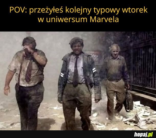 Typowy wtorek