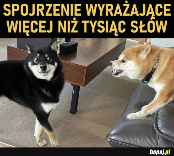 Wyraża więcej niż tysiąc słów