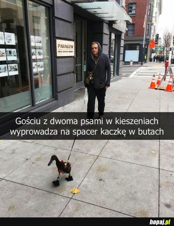 Majestatycznie