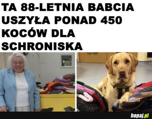 Pracowita babcia