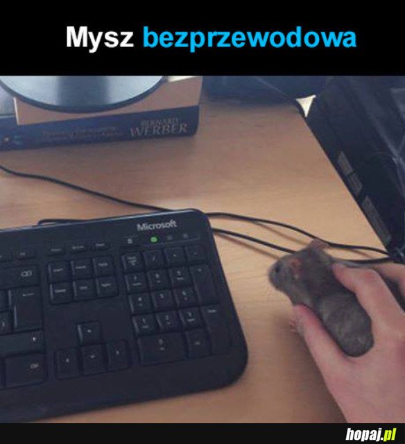 PRZYSZŁOŚĆ JEST TERAZ