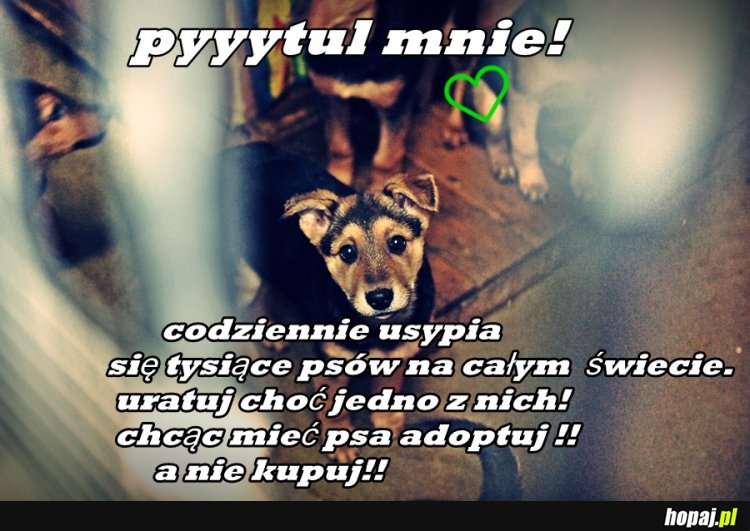 Przytul!