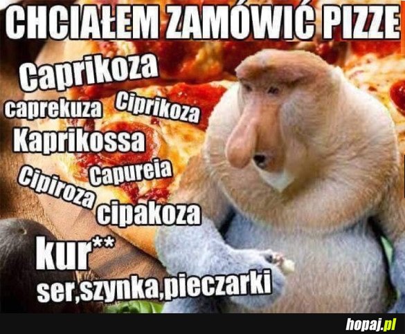 ZAMAWIANIE PIZZY