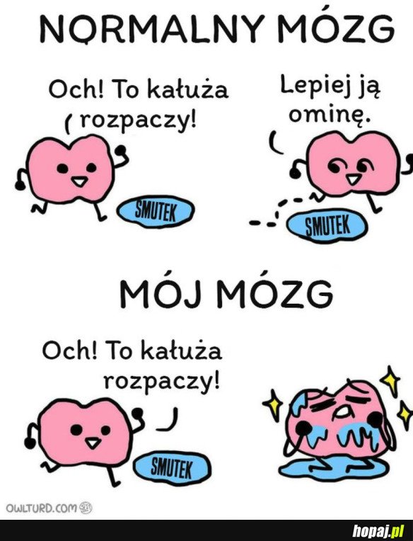 MÓZG