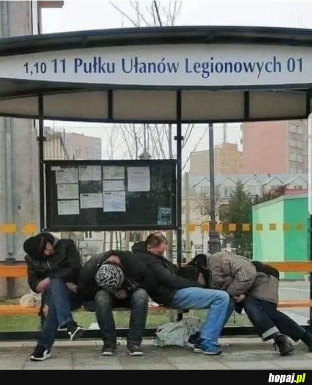 Ułani