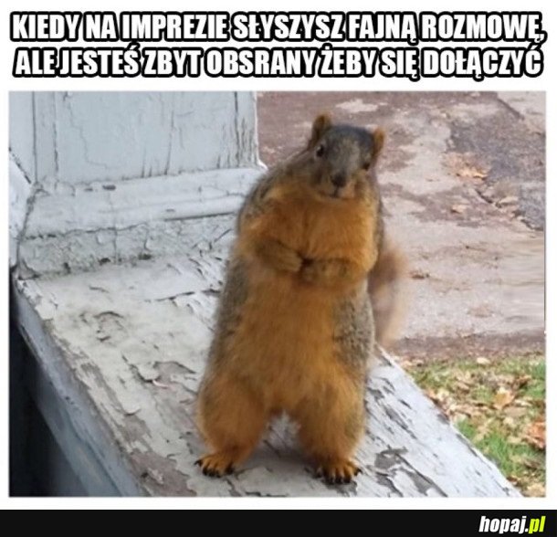 TROSZKĘ SIĘ BOJĘ