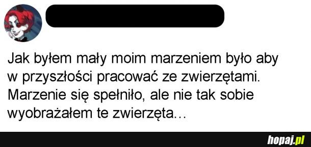 Zwierzęta