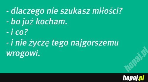 Dlaczego nie szukasz miłości?