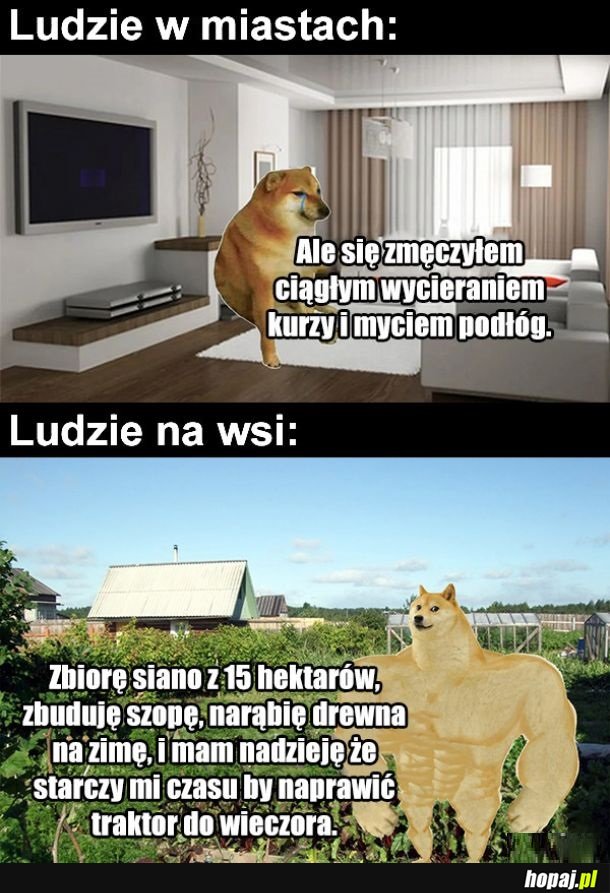 Ludzie na wsi i w mieście