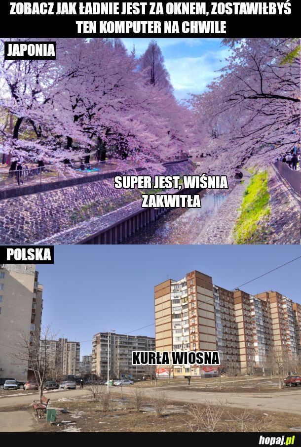 Wiosna na pełnej tej 