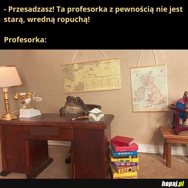 Profesorka