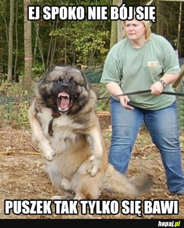 PUSZEK SIAD