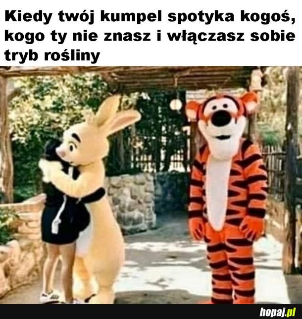 Tryb rośliny