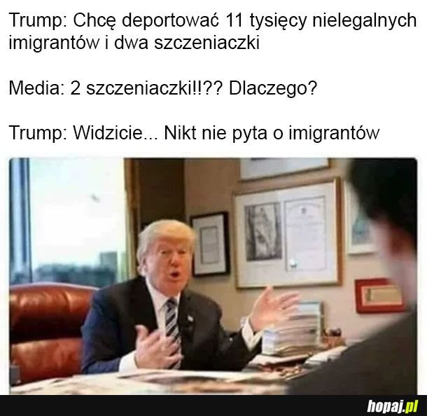 Tak to się załatwia