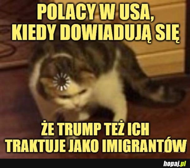 Szok!