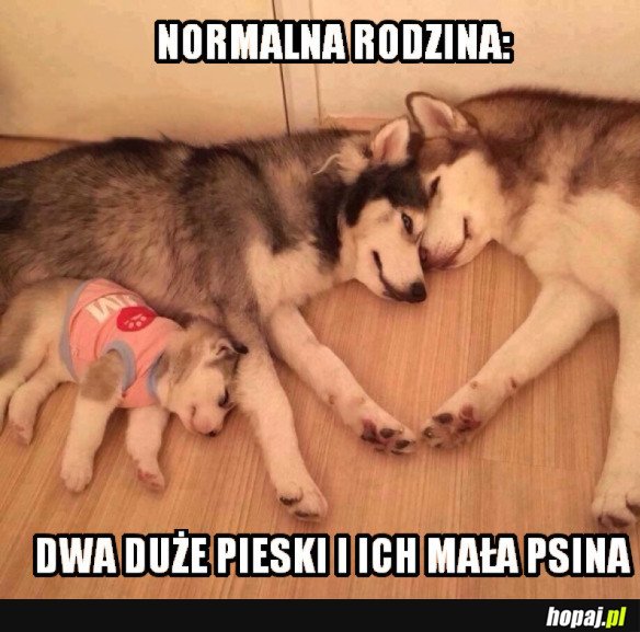 Normalna rodzina