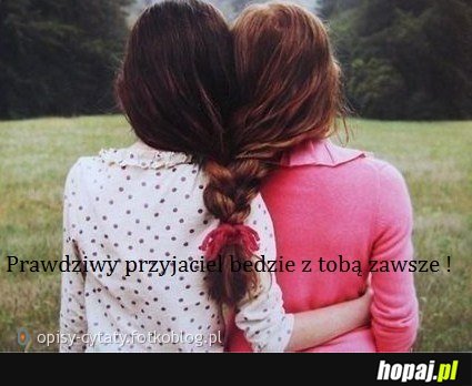Przyjaciele