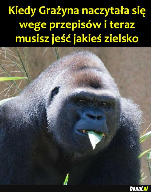 Wege przepisy