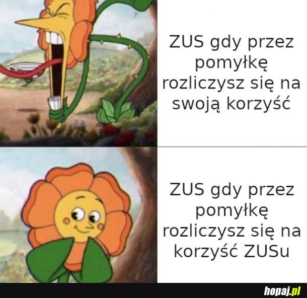 ZUS