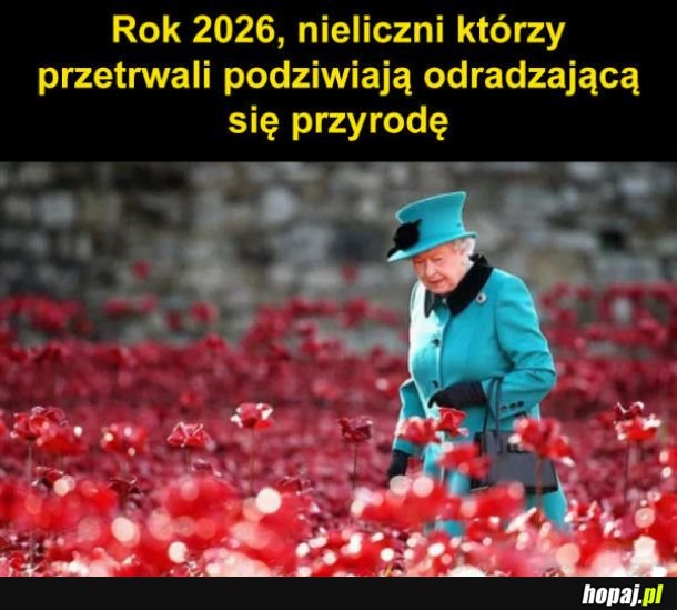 Przyszłość