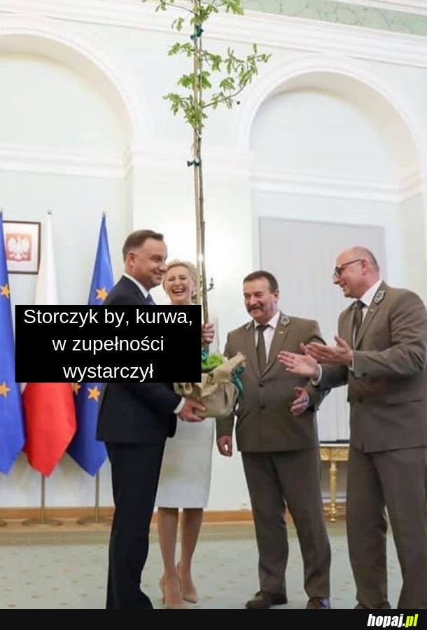 Storczyk 