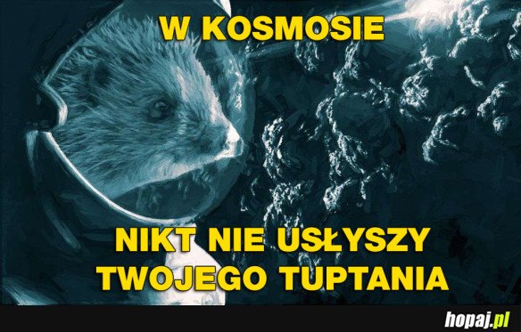 KOSMICZNY JEŻ