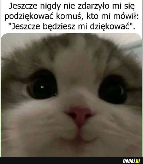 Zadowolony