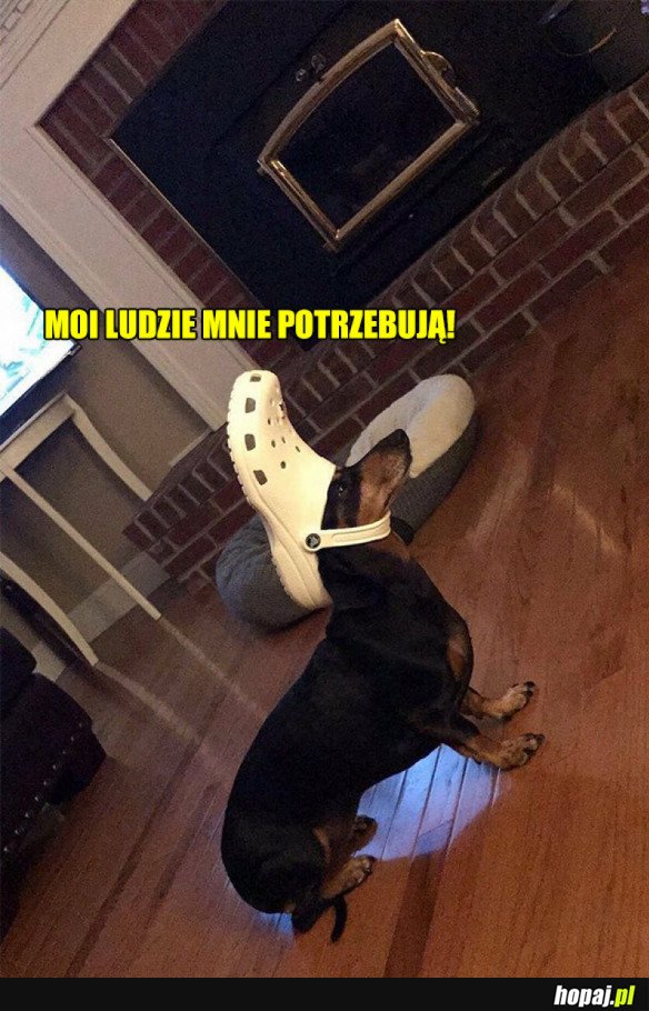 MUSZĘ IŚĆ!