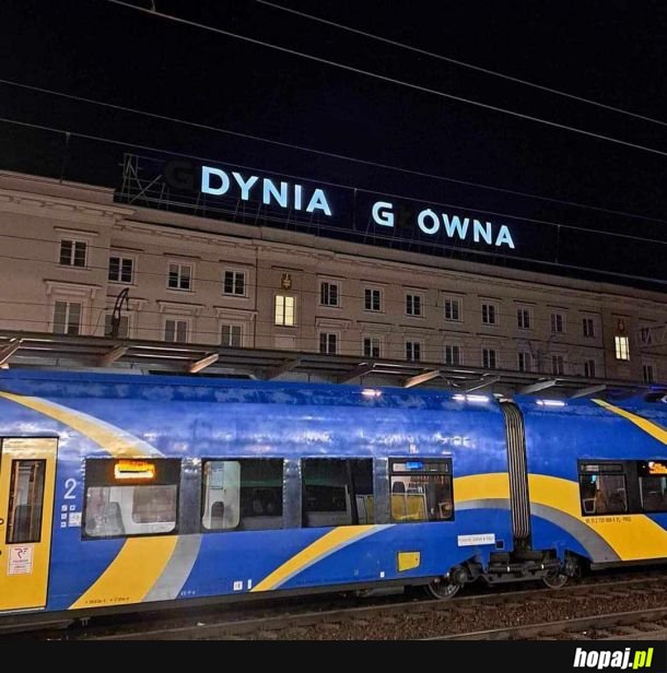 (G) dynia G (ł) ówna