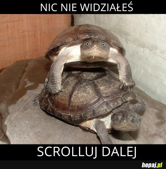 Nic się nie dzieje