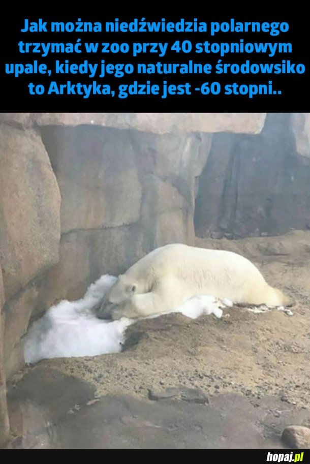 GDZIE JEST LOGIKA