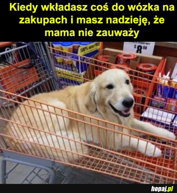 Zakupy