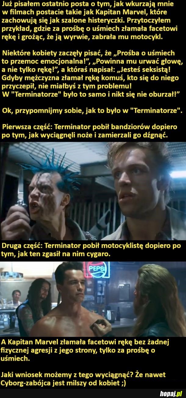 Feministki i terminator