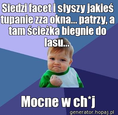 Siedzi facet i słyszy jakieś tupanie zza okna... patrzy, a tam ścieżka biegnie do lasu... 