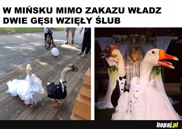  Miłość ponad wszystkim 